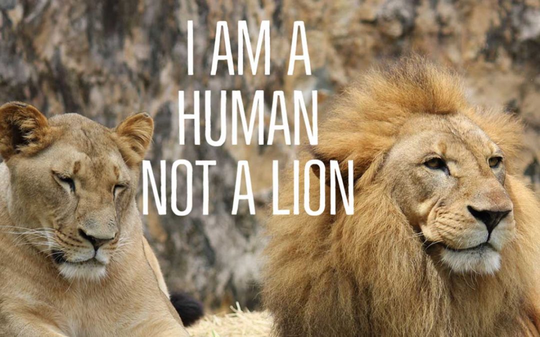 I am a human, not a lion!